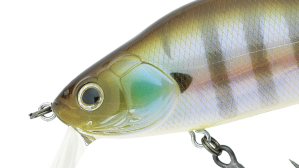 Khamsin105SP-SR