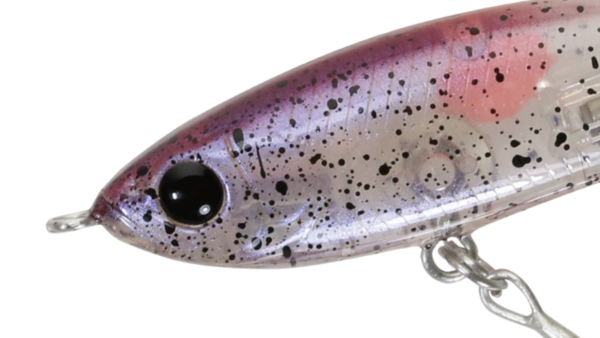ZBL Raphael SQUID SP