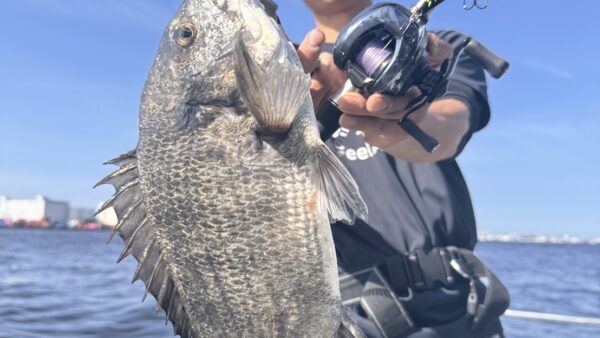 シーズン到来！大阪湾チヌトップ