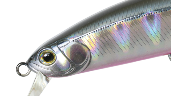 ZBL SYSTEMMINNOW 15HD-F/15HD-S
