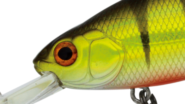 Khamsin70 SP-DR/Jr.SP-DR/Tiny SP-DR