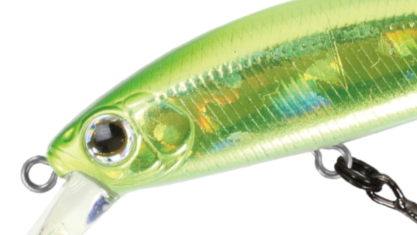 RiggeFLAT50S