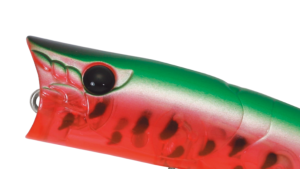 ZBL Popper