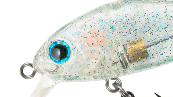 Rigge43 F/SS
