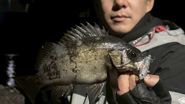 沖のヨレをザブララファエルで攻略
