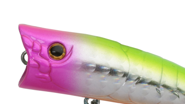 ZBL PopperTiny