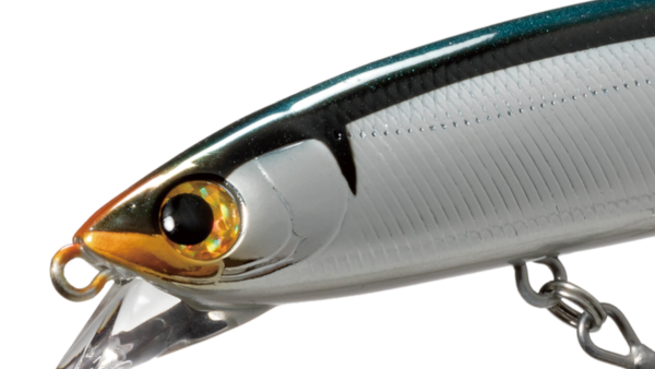 ZBL MINNOW 111F TidalRe’born