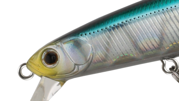 ZBL SYSTEMMINNOW 123S Abile