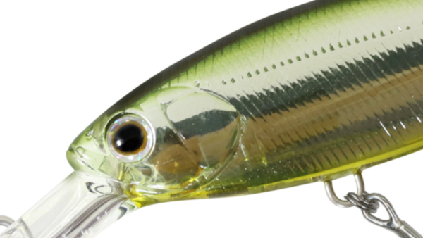 ZBL SHAD 70SS