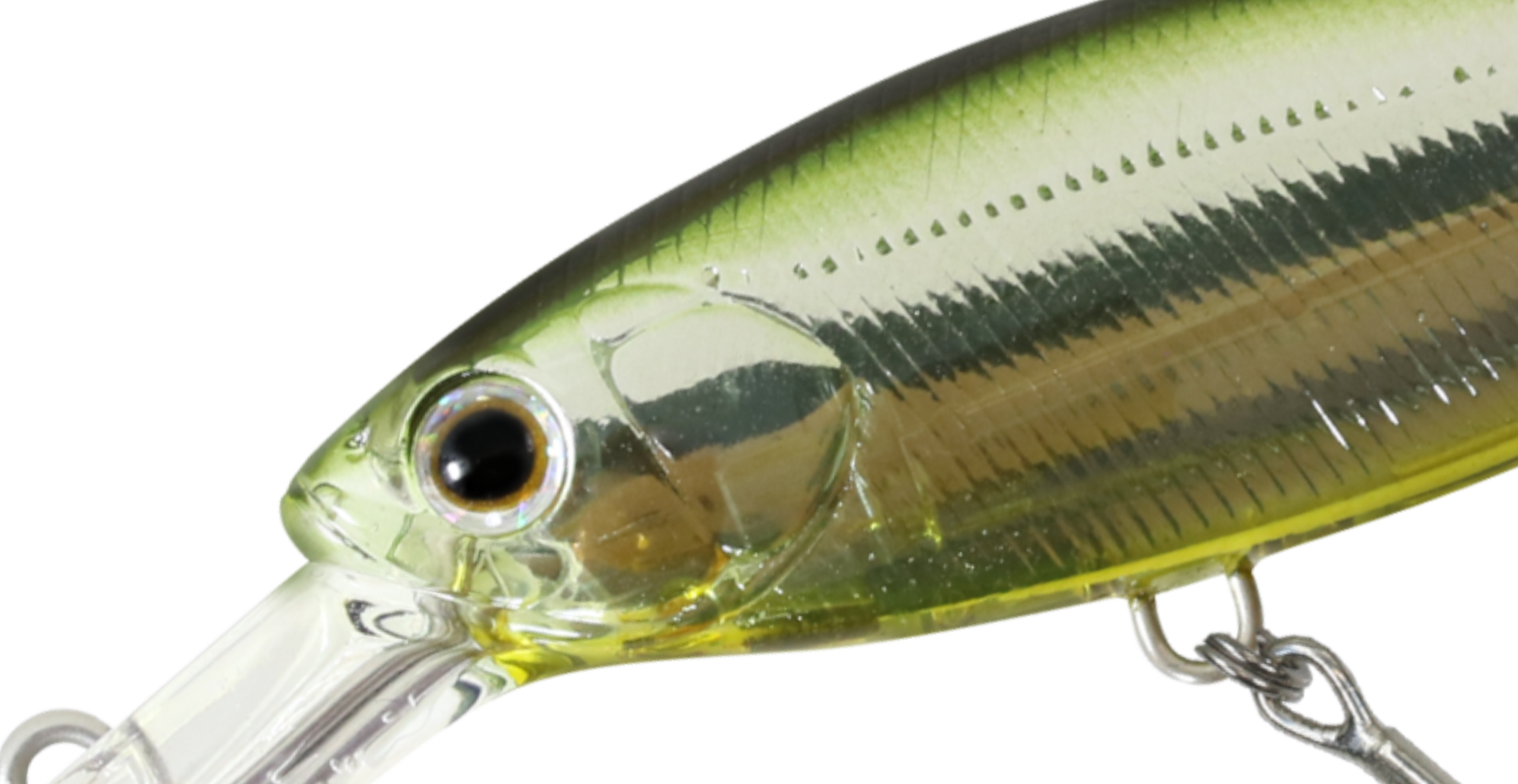 ZBL SHAD 70SS | ZIPBAITS ジップベイツ