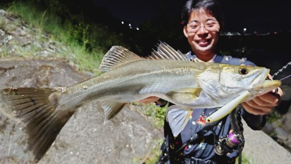 清流シーバス