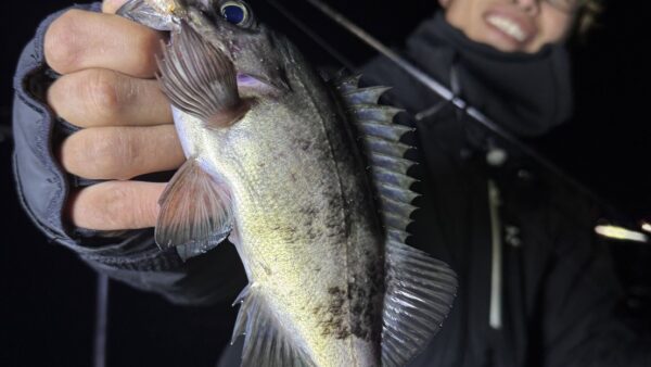 リプル45Fの圧倒的食わせ力