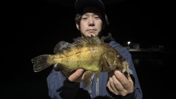 足元にも良型メバルのチャンス！！