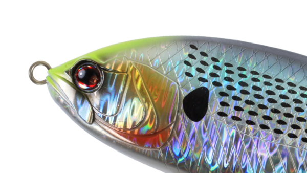ZBL JOINT CONOHIRA 210