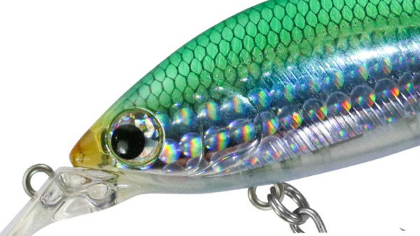 ZBL DEVILFLATTER 77S【沖縄限定】