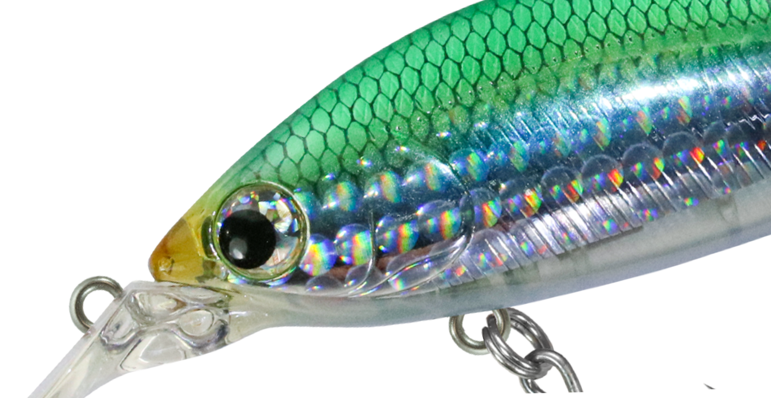 ZBL DEVILFLATTER 77S【沖縄限定】 | ZIPBAITS ジップベイツ