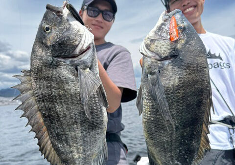 大阪湾チヌトップ最盛期!