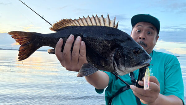 浜名湖サイクリングチヌトップ!