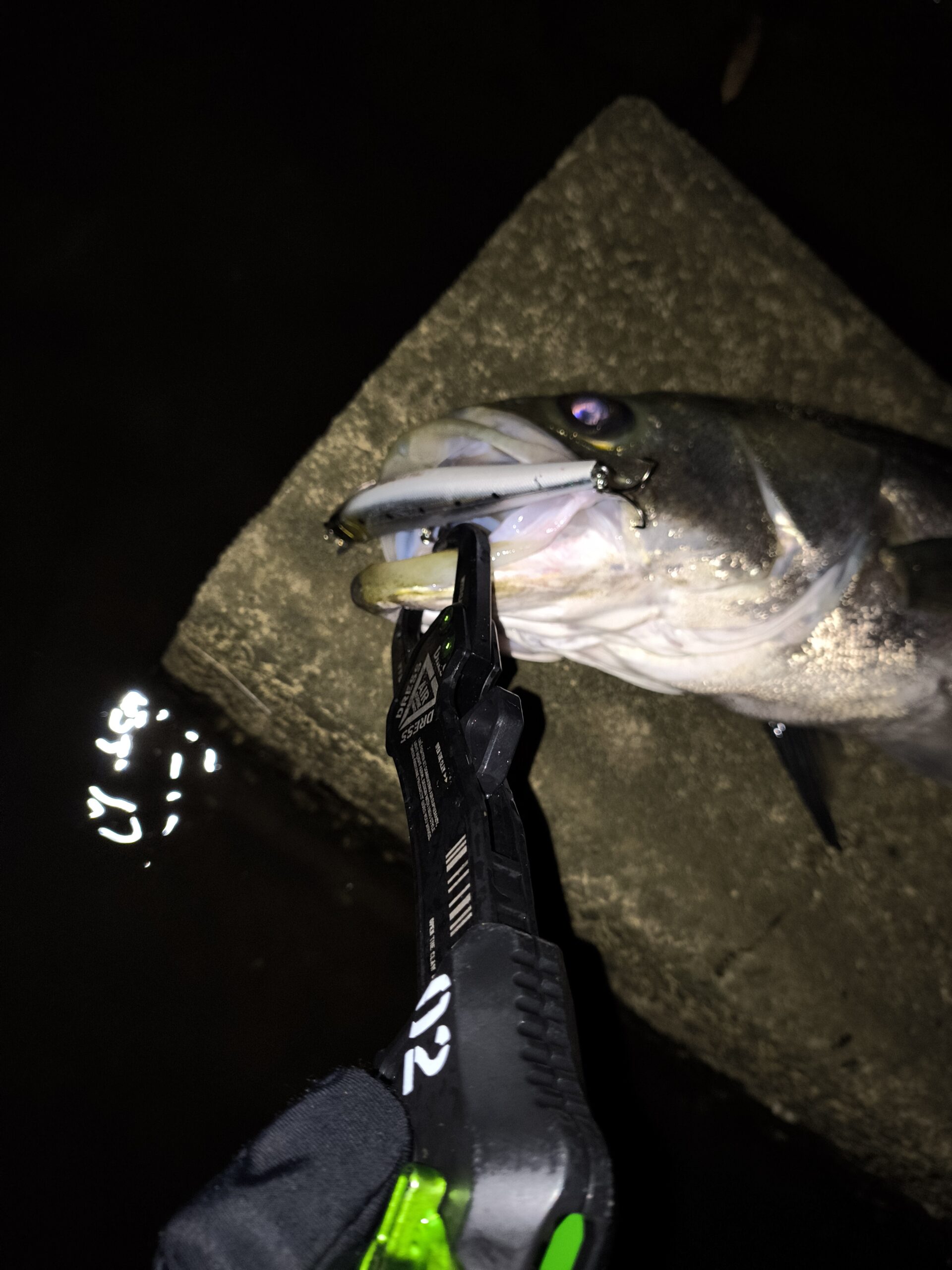 懐かしルアー | ZIPBAITS ジップベイツ