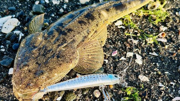 フックチューンで更なるポテンシャルを引き出す