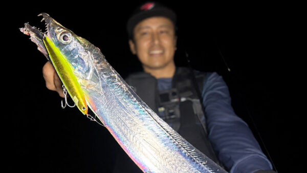 サーフ太刀魚にはザブラスライドスイムミノー120