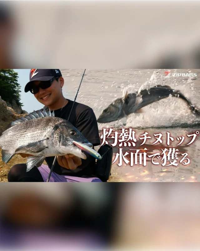 【YouTube動画アップ】⁣
⁣
水面割れすぎ⁣
つけ抜け術！⁣
チヌトップ全開の1日！！⁣
⁣
ジップベイツムービー初登場⁣
フィールドテスター國廣氏の⁣
ホームフィールド山口エリアを⁣
チヌトップオンリーでランガン！！⁣
動画に収まりきらないほどのキャッチ数！⁣
⁣
チヌトップ最盛期！ぜひご参考に！！⁣
⁣
フィールドテスター國廣氏⁣
( @yugo.kunihiro )⁣
⁣
#ジップベイツ ⁣
#zipbaits ⁣
#チヌ⁣
#釣り⁣
#fishing