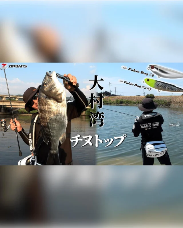 【YouTube動画アップ】

長崎県大村湾
トップチヌゲーム！！

フィールドテスター大内紀幸さんが
佐賀県 ヨコオ釣り具店本店　
坂井店長・深町さんと共に
長崎県大村湾にて
トップチヌゲームを
楽しんできました！

SpecialThanks-----
ヨコオ釣り具店 本店
tsurigu-yokoo.com/yokoonet/top.html

ヨコオ釣り具店 インスタ
＠yokoo_tsurigu

大内紀幸さんインスタ
＠noriyuki.oouchi
----------------
主な使用ルアー
FakieDog

#fishing🎣 #zipbaits #チヌ #長崎釣り