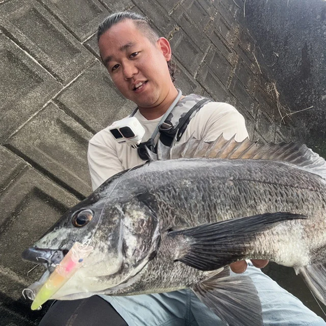 【レポート更新しました】

鹿児島県のジップベイツユーザー
宮崎 世麻 様よりレポートを頂きました! 

惜しくも4位！でも楽しかった！
⁡
『かめやチニングパーティー参戦記』
レポートはプロフ記載のURLから↓
@zipbaits_com
⁡

#fishing
#zipbaits
#釣果
#鹿児島県
#チヌトップ