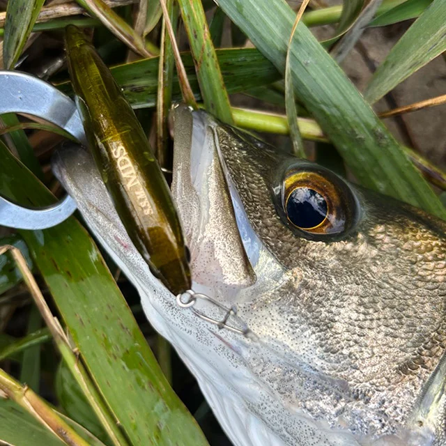 【レポート更新しました】

岐阜県のジップベイツユーザー
P.N van 様よりレポートを頂きました! 

魚がいるのか確認するためにザブラスライドスイムミノー85MDS

釣れ無さ過ぎて…も』
レポートはプロフ記載のURLから↓
@zipbaits_com
⁡

#fishing
#zipbaits
#釣果
#木曽三川
#シーバス