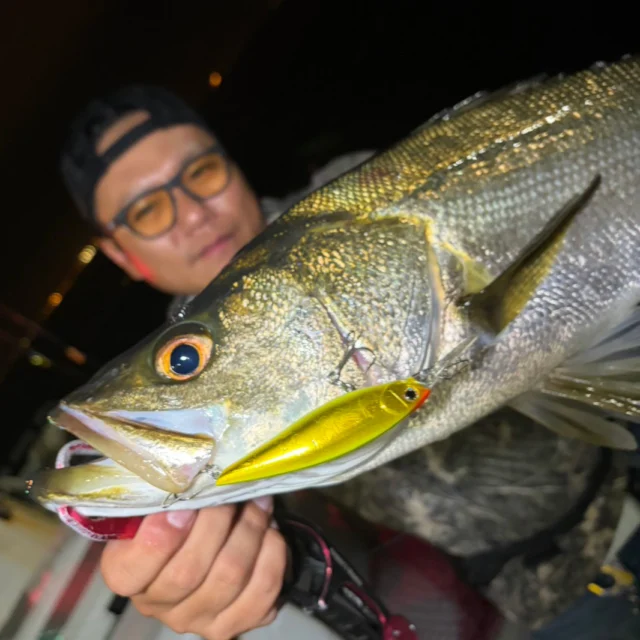 【レポート更新しました】

千葉県のジップベイツユーザー
P.N @hiro8008fishingram 様よりレポートを頂きました! 

ザブラシャッドカイラでストラクチャー撃ち！

『This is KAMIKAZE』
レポートはプロフ記載のURLから↓
@zipbaits_com
⁡

#fishing
#zipbaits
#釣果
#東京湾
#ボートゲーム